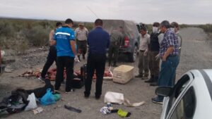 tres hombres cayeron con fauna protegida y un arma irregular tras un control nocturno