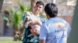 Realizarán operativos y actividades gratuitas en el marco del Día del Animal