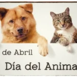 Ellos son el corazon de cada hogar: feliz dia del animal.