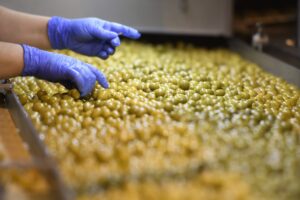 ir a la búsqueda de nuevos mercados Aceituna de mesa en San Juan,