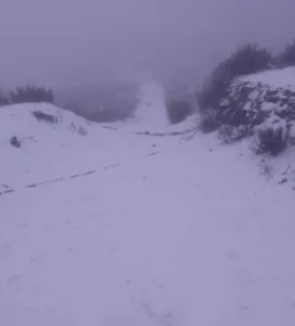 llego el frio Bajo cero: nieve y frío pintaron de blanco a Jáchal