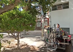 avanza con su robot fumigador: ya se realizan pruebas de campo con este dispotivo en la unsj.