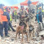 Bart, el perro rescatista argentino que salvó a dos niños tras los terremotos en Venezuela