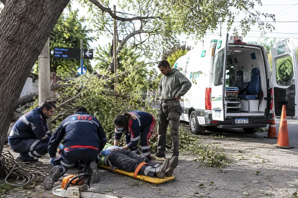 Murió el hombre que cayó en altura mientras podaba un árbol en Capital