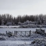 Histórico: desplome térmico san juan amanece congelado y la cordillera se cubrió de nieve