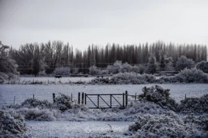 Histórico: desplome térmico san juan amanece congelado y la cordillera se cubrió de nieve