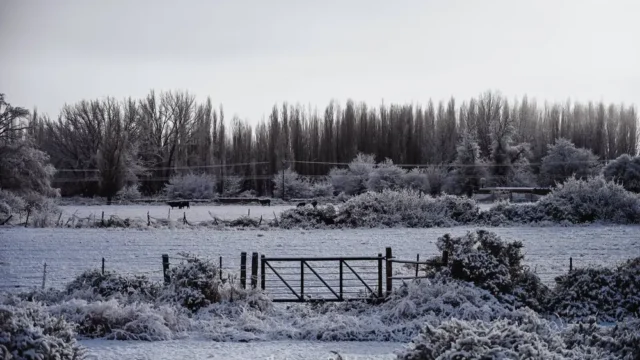 Histórico: desplome térmico san juan amanece congelado y la cordillera se cubrió de nieve