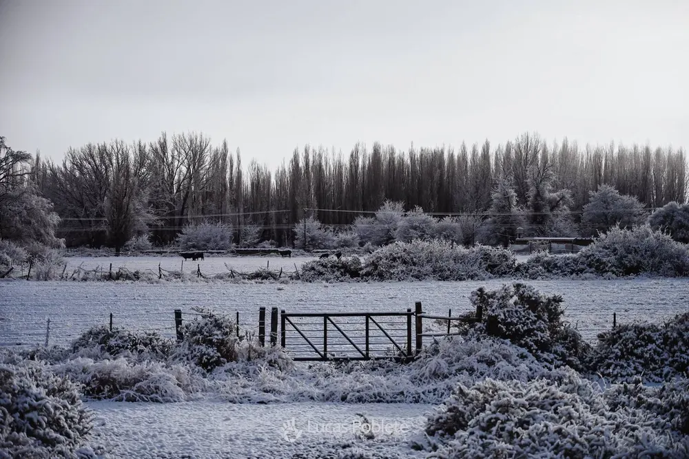 Histórico: desplome térmico san juan amanece congelado y la cordillera se cubrió de nieve