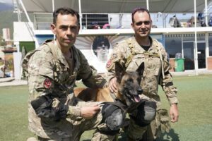 Bart, el perro argentino que ayudó a rescatar con vida a dos niños tras el terremoto en Venezuela