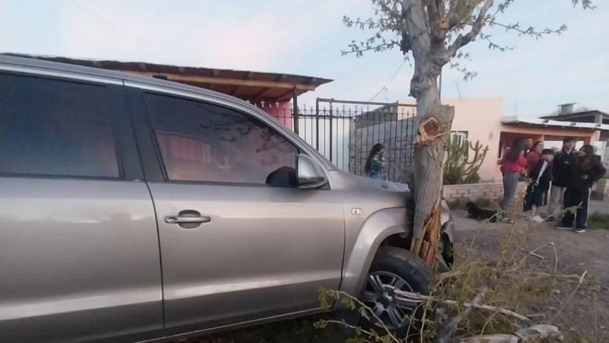 Falleció la mujer atropellada por un conductor ebrio: el responsable fue identificado
