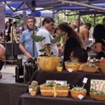 La Feria Agroproductiva llega al Centro Cívico con una amplia variedad de productos