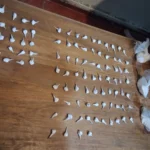  En Rivadavia: allanaban por amenazas y encontraron más de 150 dosis de droga