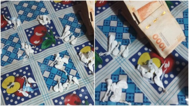 Un allanamiento en un domicilio en Chimbas y secuestraron cocaína y marihuana